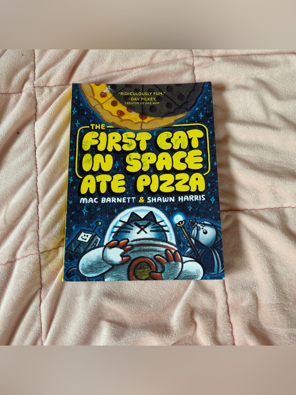 The First Cat in Space Ate Pizza comic chapter book